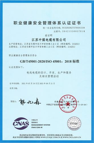 职业健康安全管理体系证书（中文）