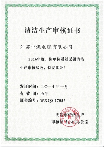 清洁生产审核证书